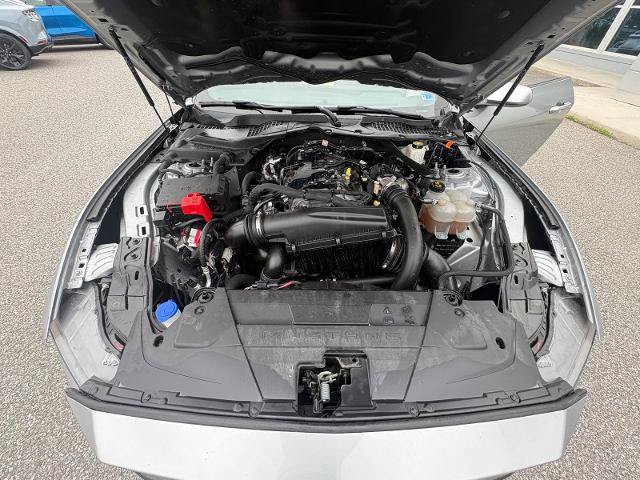 Certified 2024 Ford Mustang Premium RWD image 38