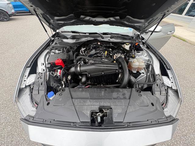 Certified 2024 Ford Mustang Premium RWD image 38