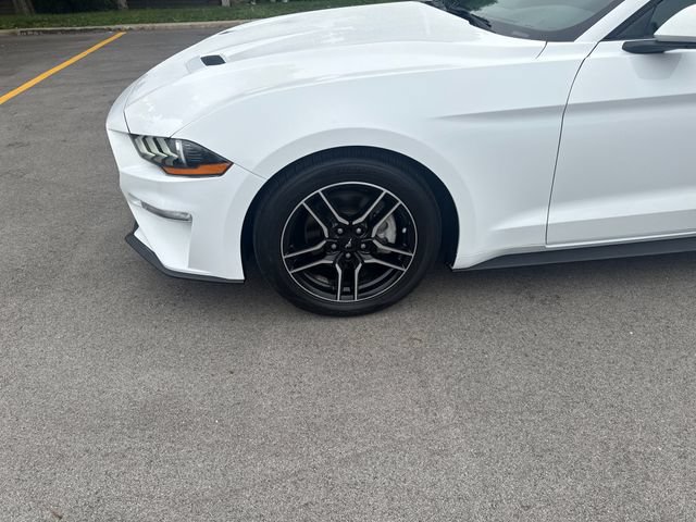 Certified 2018 Ford Mustang Premium RWD image 9