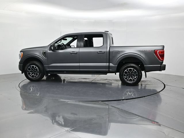 Certified 2023 Ford F150 XLT w/ Equipment Group 302A High AWD/4WD image 7