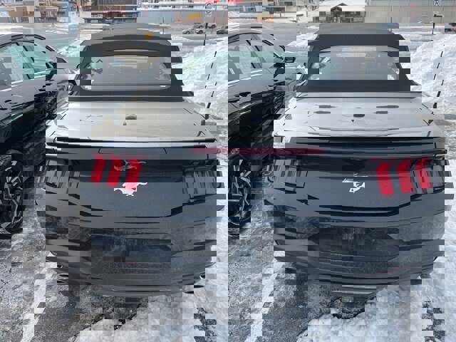 Certified 2024 Ford Mustang Premium image 4