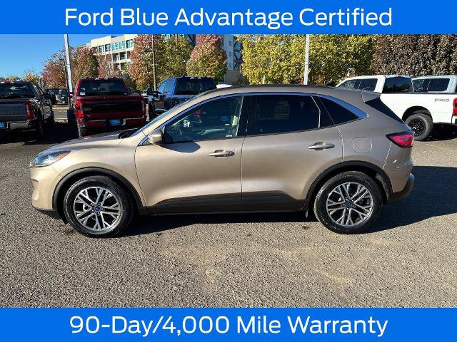Certified 2020 Ford Escape SEL FWD image 4
