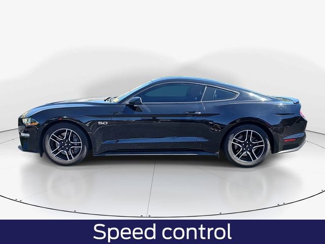 Certified 2021 Ford Mustang GT w/ Enhanced Security Package RWD image 8