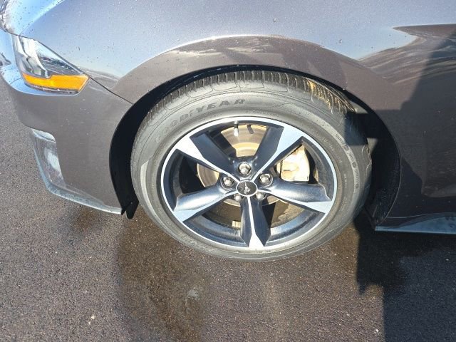 Certified 2023 Ford Mustang Coupe w/ Equipment Group 101A image 14