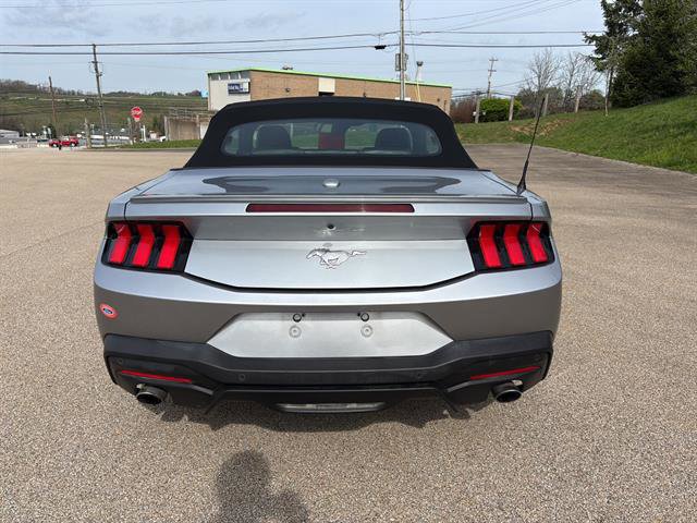 Certified 2024 Ford Mustang Premium image 4