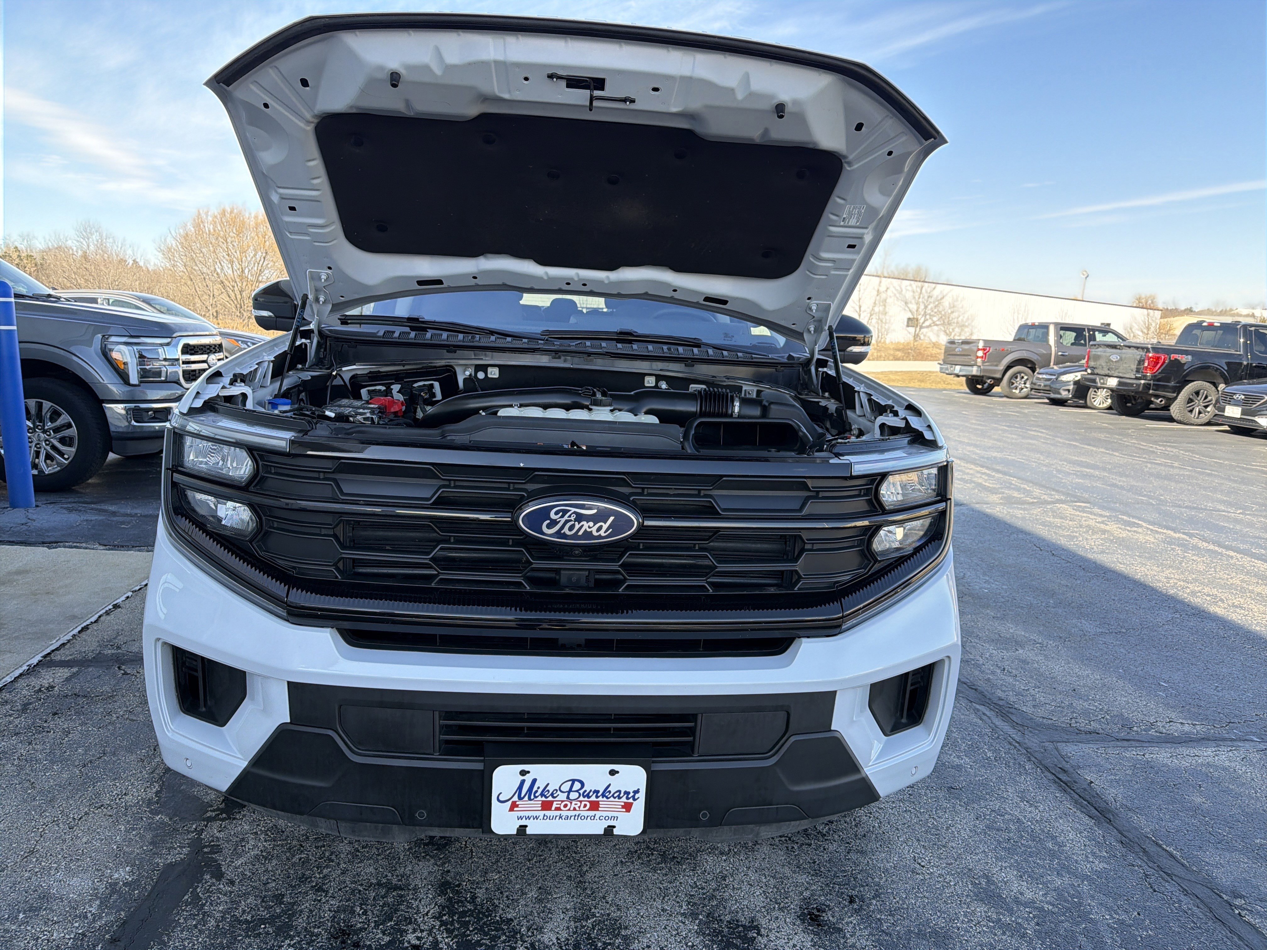 Certified 2025 Ford Expedition Active image 13