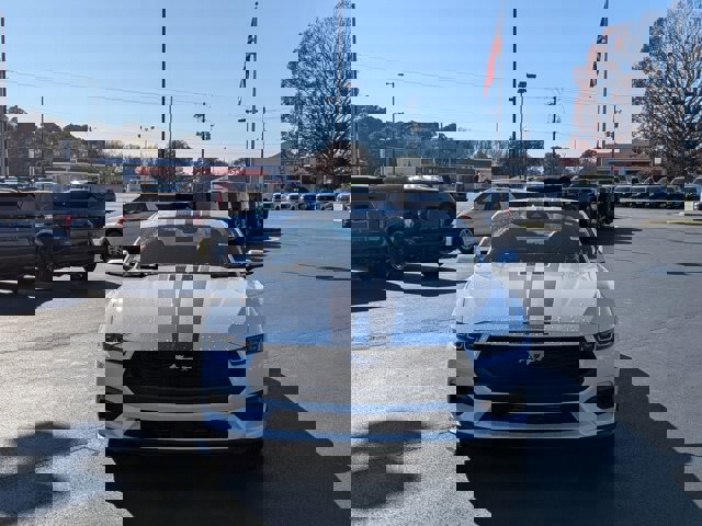 Certified 2024 Ford Mustang Premium w/ 2.3L High Performance Package image 7