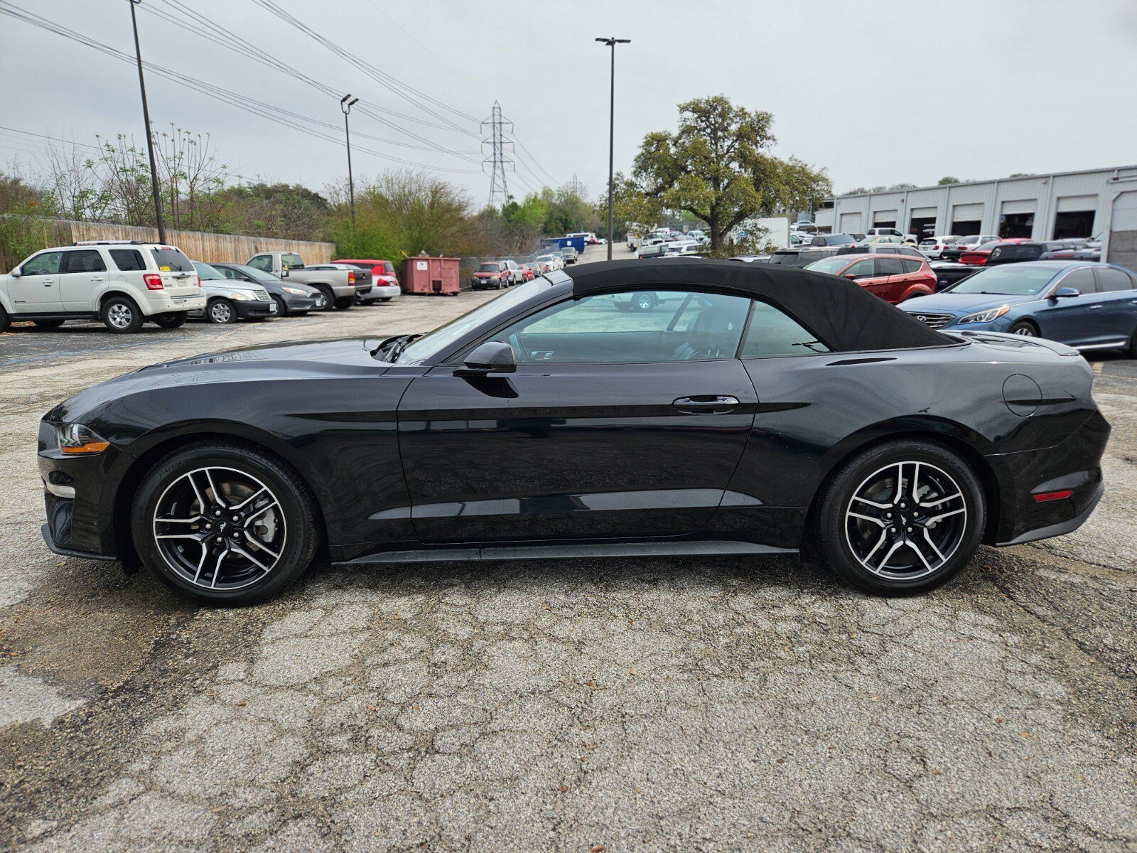 Certified 2023 Ford Mustang Premium image 7