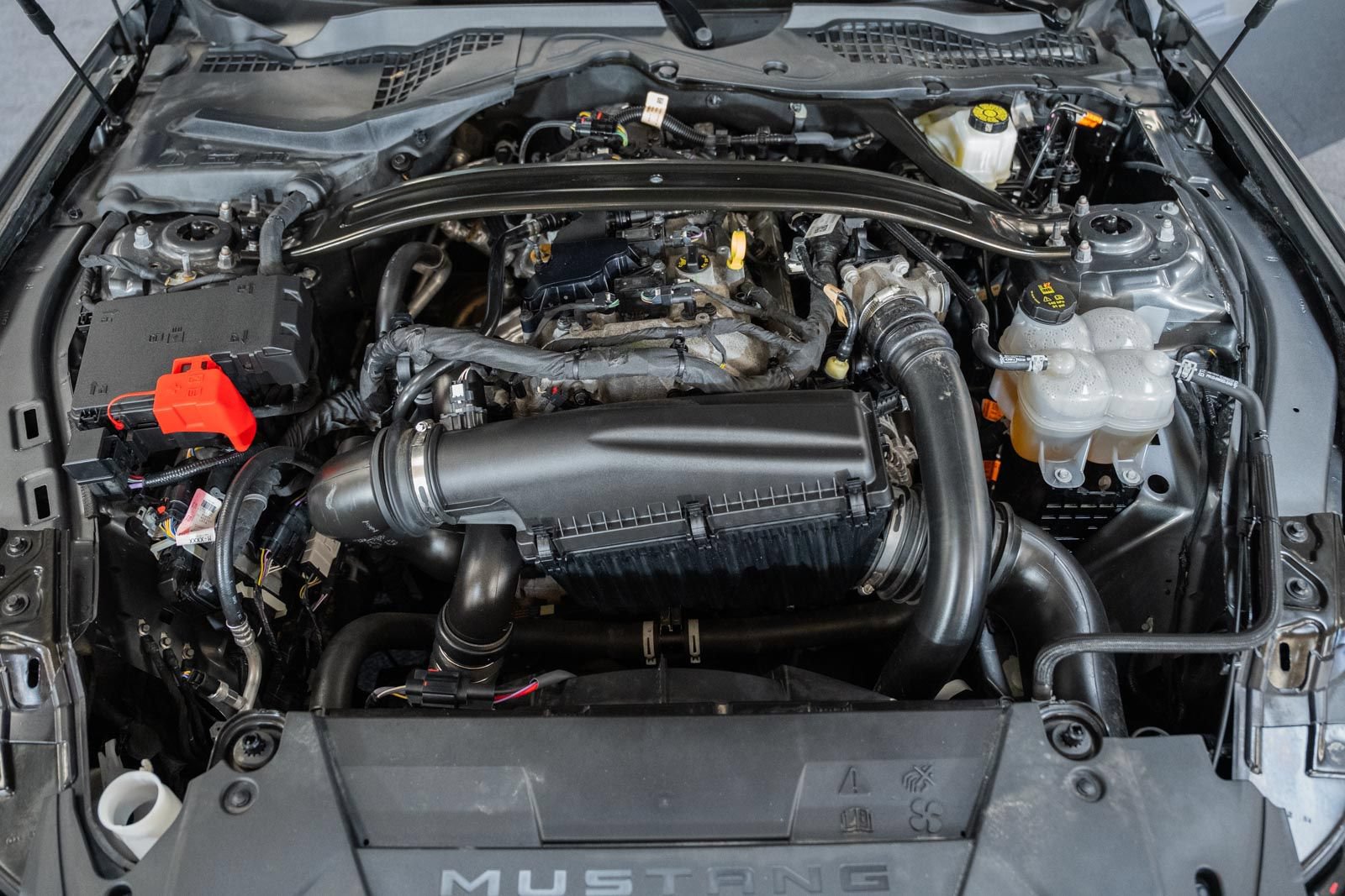 Certified 2025 Ford Mustang Premium RWD image 15
