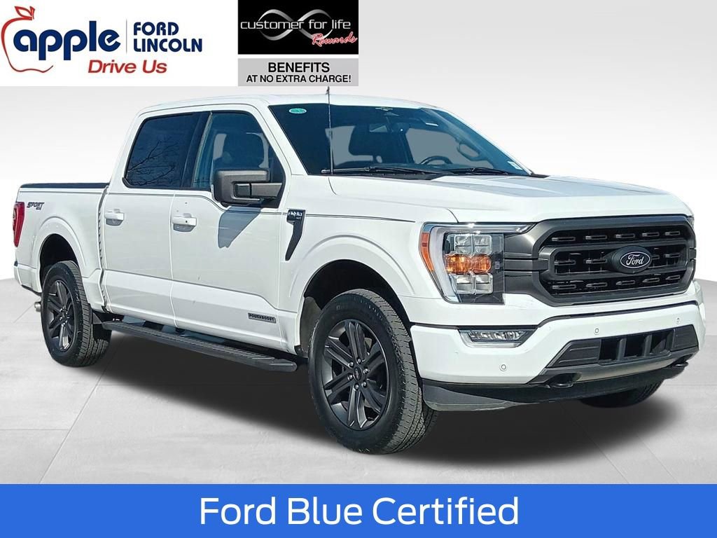 Certified 2023 Ford F150 XLT w/ Equipment Group 302A High image 1