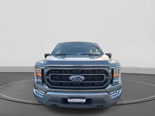 Certified 2022 Ford F150 XLT w/ Equipment Group 302A High image 8