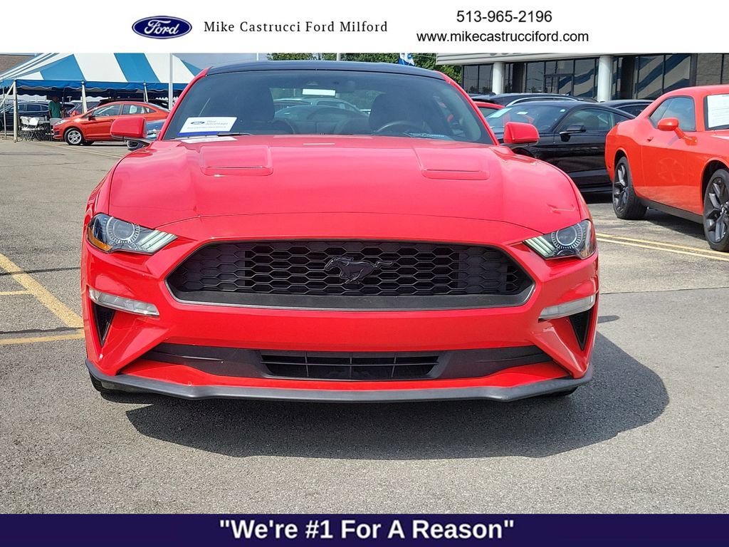 Certified 2019 Ford Mustang Coupe w/ Equipment Group 101A RWD image 8