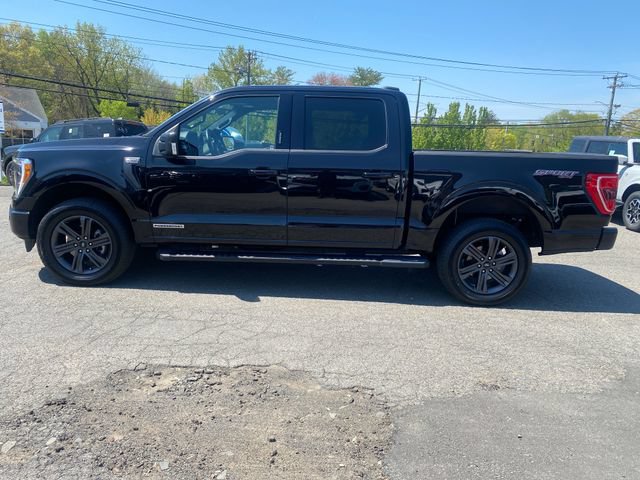 Certified 2023 Ford F150 XLT w/ Equipment Group 302A High AWD/4WD image 4