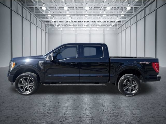 Certified 2023 Ford F150 XLT w/ Equipment Group 302A High AWD/4WD image 3
