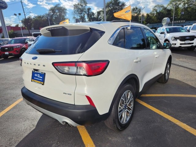 Certified 2022 Ford Escape SEL image 6