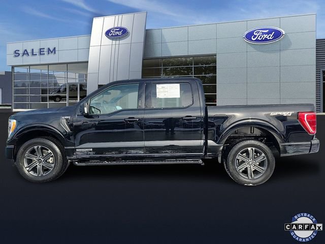 Certified 2023 Ford F150 XLT w/ Equipment Group 302A High image 5
