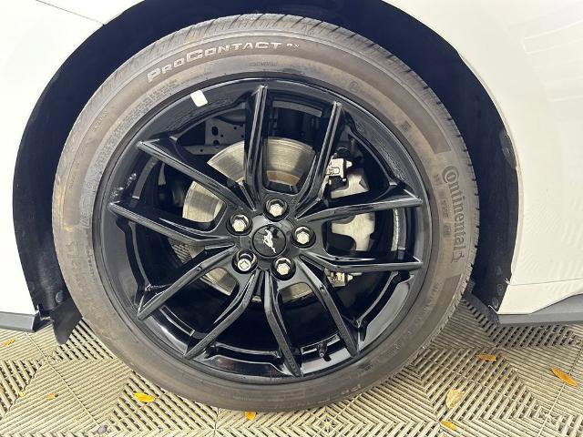 Certified 2024 Ford Mustang Premium w/ Mustang Nite Pony Package image 13