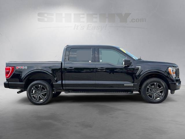 Certified 2023 Ford F150 XLT w/ Equipment Group 302A High AWD/4WD image 10