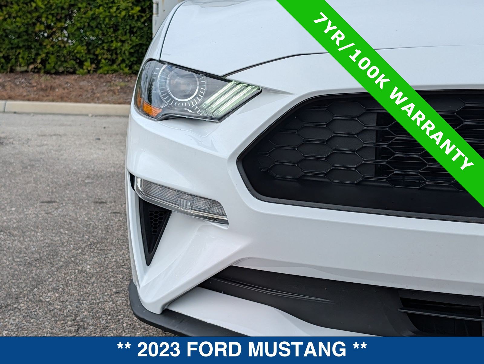 Certified 2023 Ford Mustang Premium RWD image 10