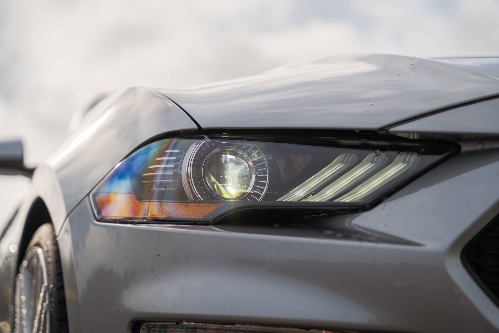 Certified 2021 Ford Mustang GT RWD image 24