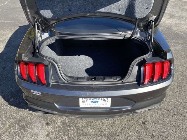 Certified 2019 Ford Mustang Coupe w/ Equipment Group 101A image 12