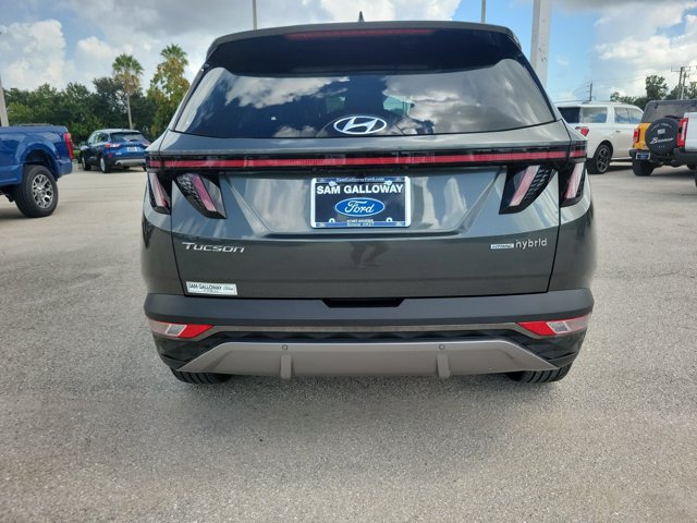 Used 2024 Hyundai Tucson Limited AWD/4WD image 5