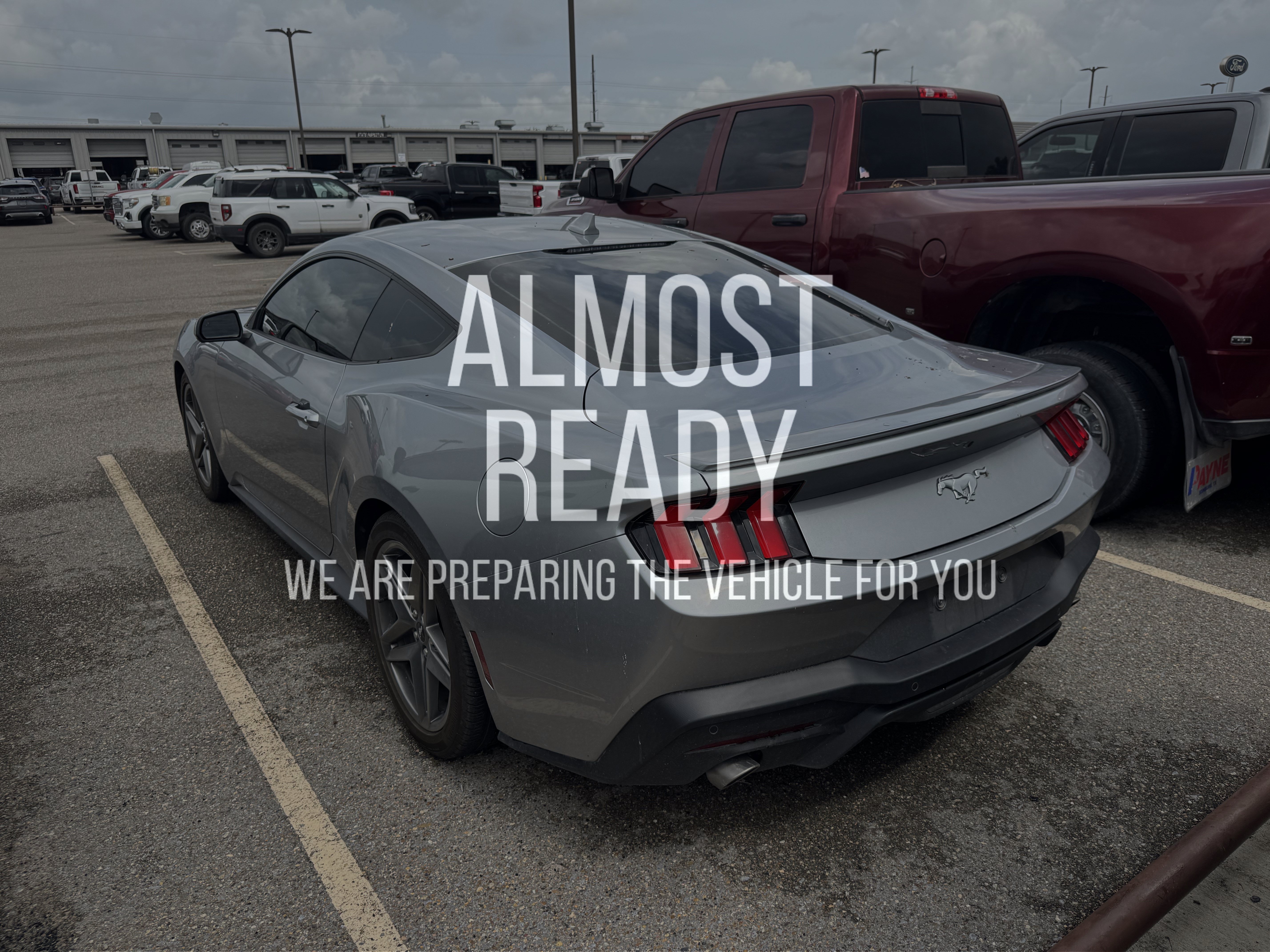 Certified 2024 Ford Mustang Premium RWD image 3