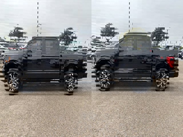 Certified 2023 Ford F150 XL w/ STX Appearance Package image 2