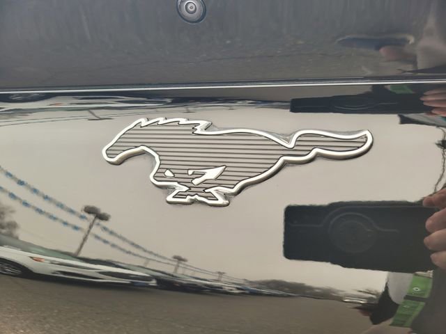 Certified 2023 Ford Mustang Mach-E Premium image 7