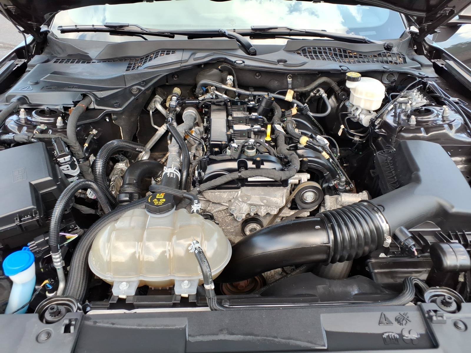 Certified 2023 Ford Mustang Coupe w/ Equipment Group 101A RWD image 24