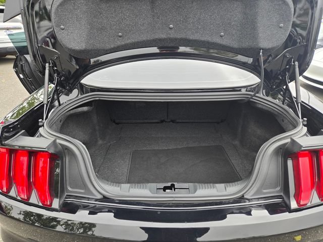 Certified 2022 Ford Mustang GT w/ Equipment Group 301A RWD image 27