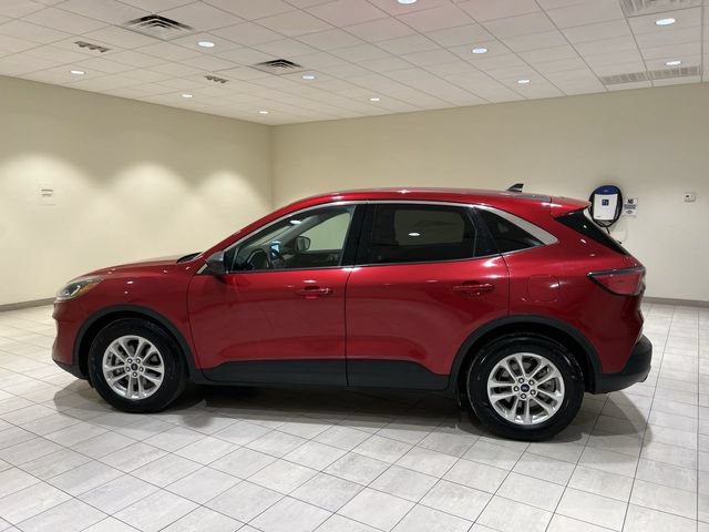 Certified 2022 Ford Escape SE w/ Convenience Package FWD image 2