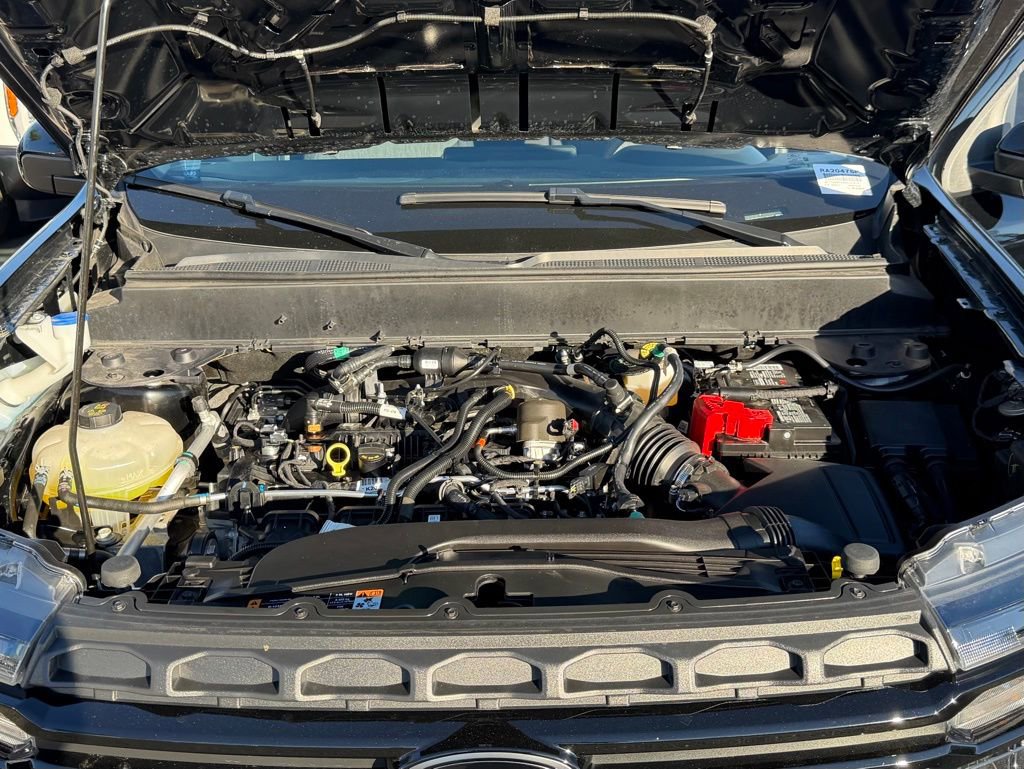 Certified 2024 Ford Maverick XLT w/ XLT Luxury Package image 30