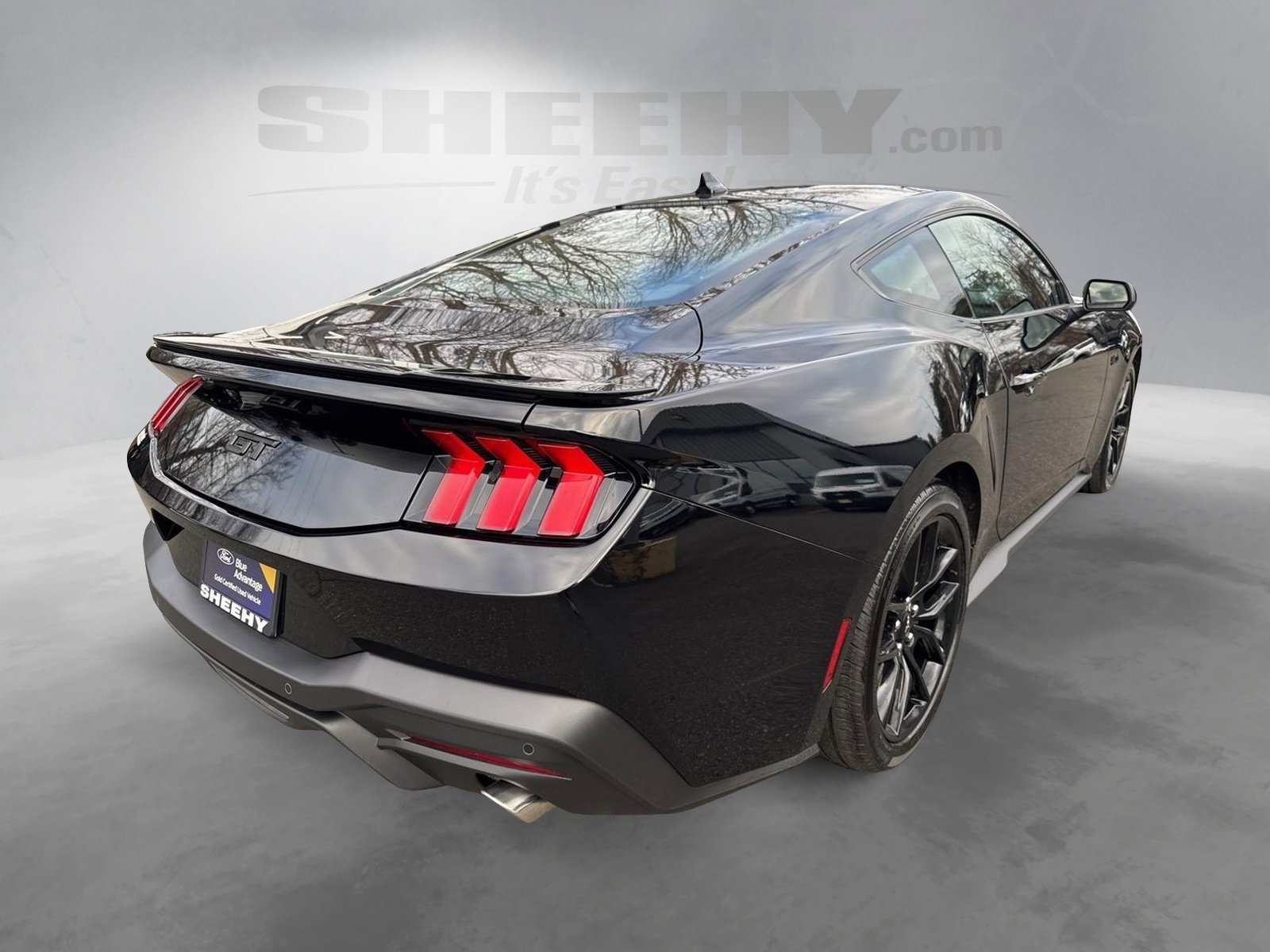 Certified 2025 Ford Mustang GT Premium w/ Mustang Nite Pony Package image 14