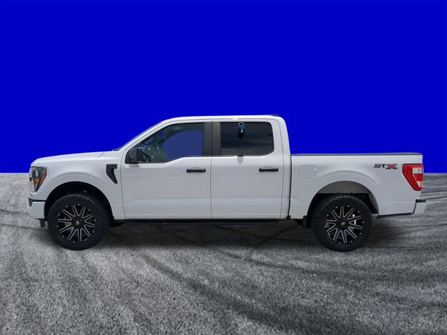 Certified 2023 Ford F150 XL w/ STX Appearance Package RWD image 7