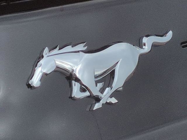Certified 2020 Ford Mustang Coupe w/ Equipment Group 101A RWD image 23