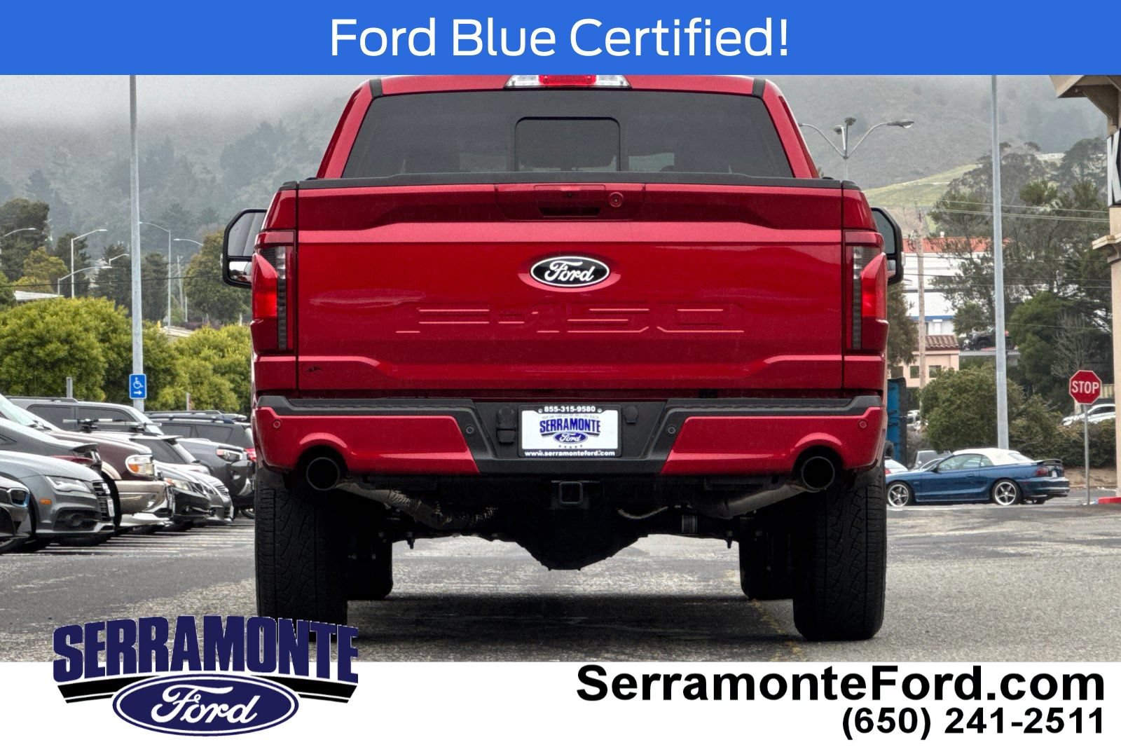 Certified 2025 Ford F150 XLT w/ Equipment Group 303A High AWD/4WD image 6