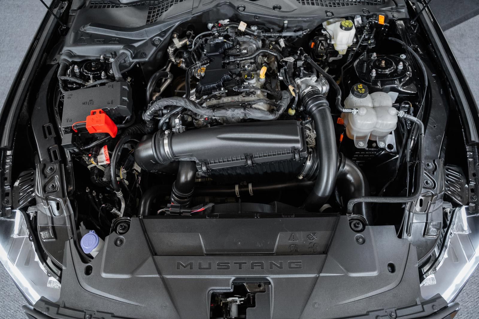 Certified 2024 Ford Mustang Premium image 21