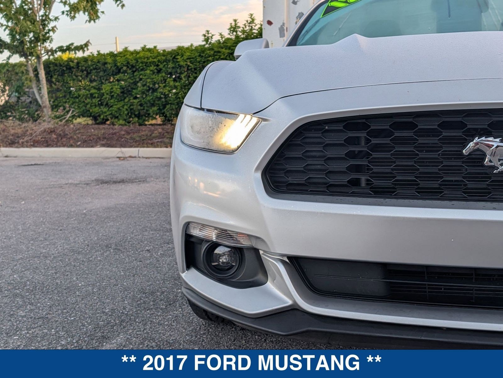Certified 2017 Ford Mustang Convertible w/ Equipment Group 051A RWD image 9