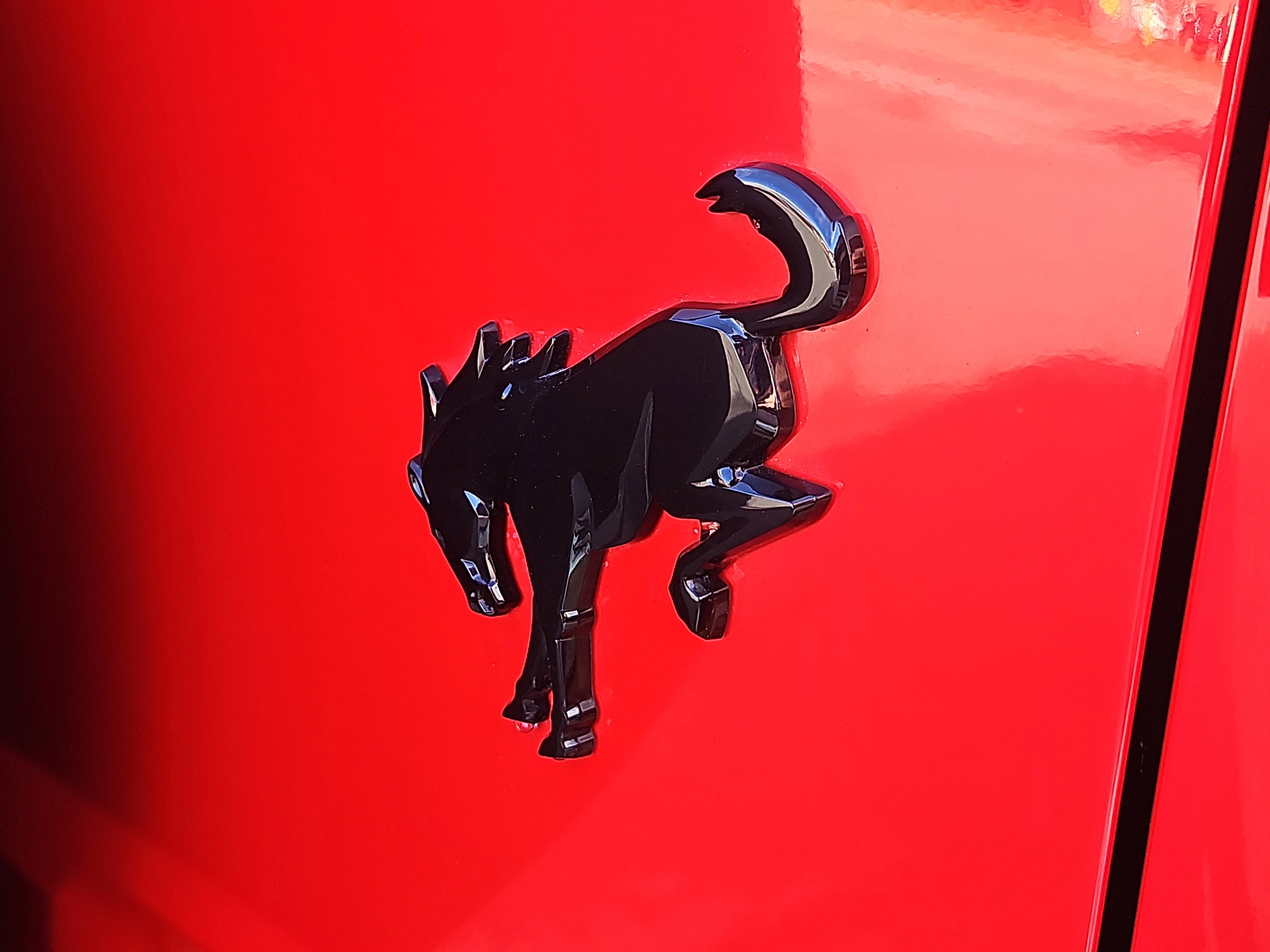 Certified 2022 Ford Bronco Wildtrak image 6