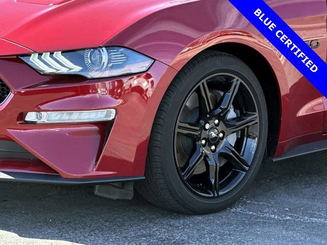 Certified 2019 Ford Mustang GT Premium w/ Equipment Group 401A RWD image 5