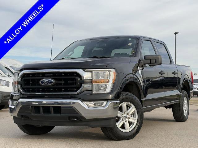 Certified 2022 Ford F150 XLT w/ Equipment Group 301A Mid image 2