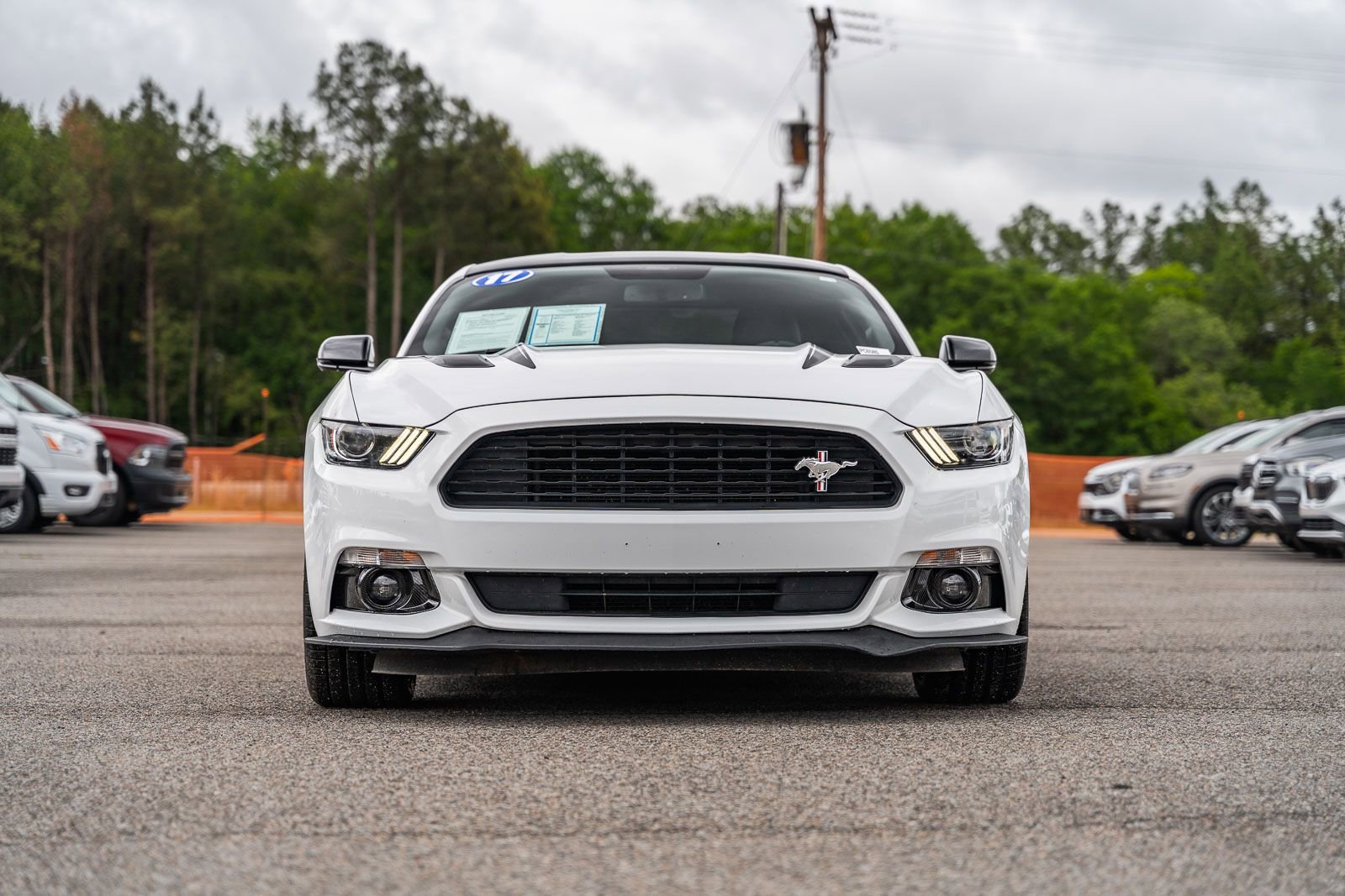 Certified 2017 Ford Mustang GT Premium w/ Equipment Group 401A RWD image 2