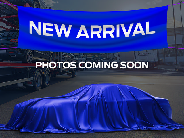 Certified 2019 Ford F250 XLT w/ XLT Premium Package