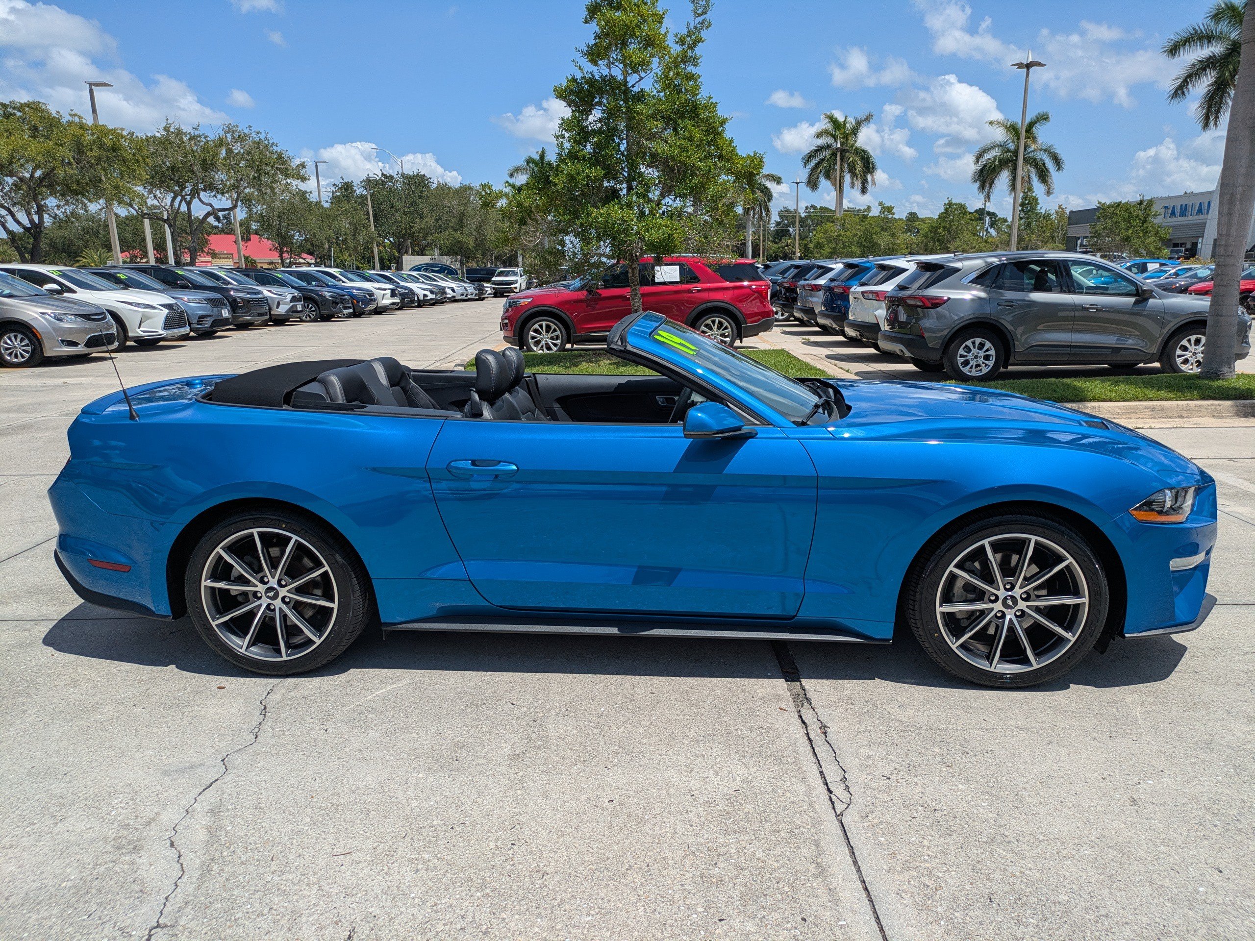 Certified 2019 Ford Mustang Premium w/ Equipment Group 201A RWD image 3