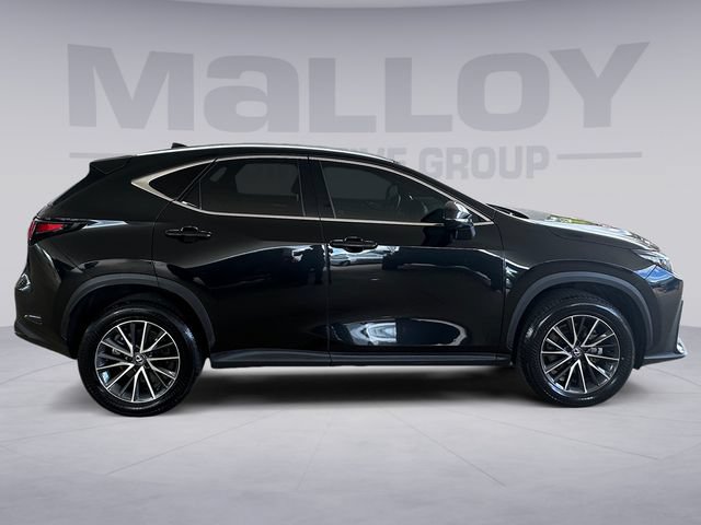 Used 2024 Lexus NX 350 AWD image 5