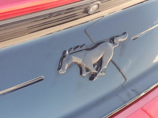 Certified 2021 Ford Mustang Premium w/ Equipment Group 201A RWD image 29