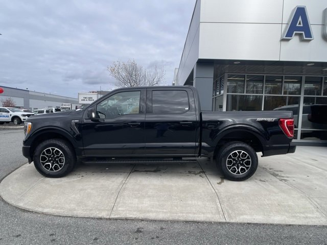 Certified 2023 Ford F150 XLT w/ Equipment Group 302A High image 2