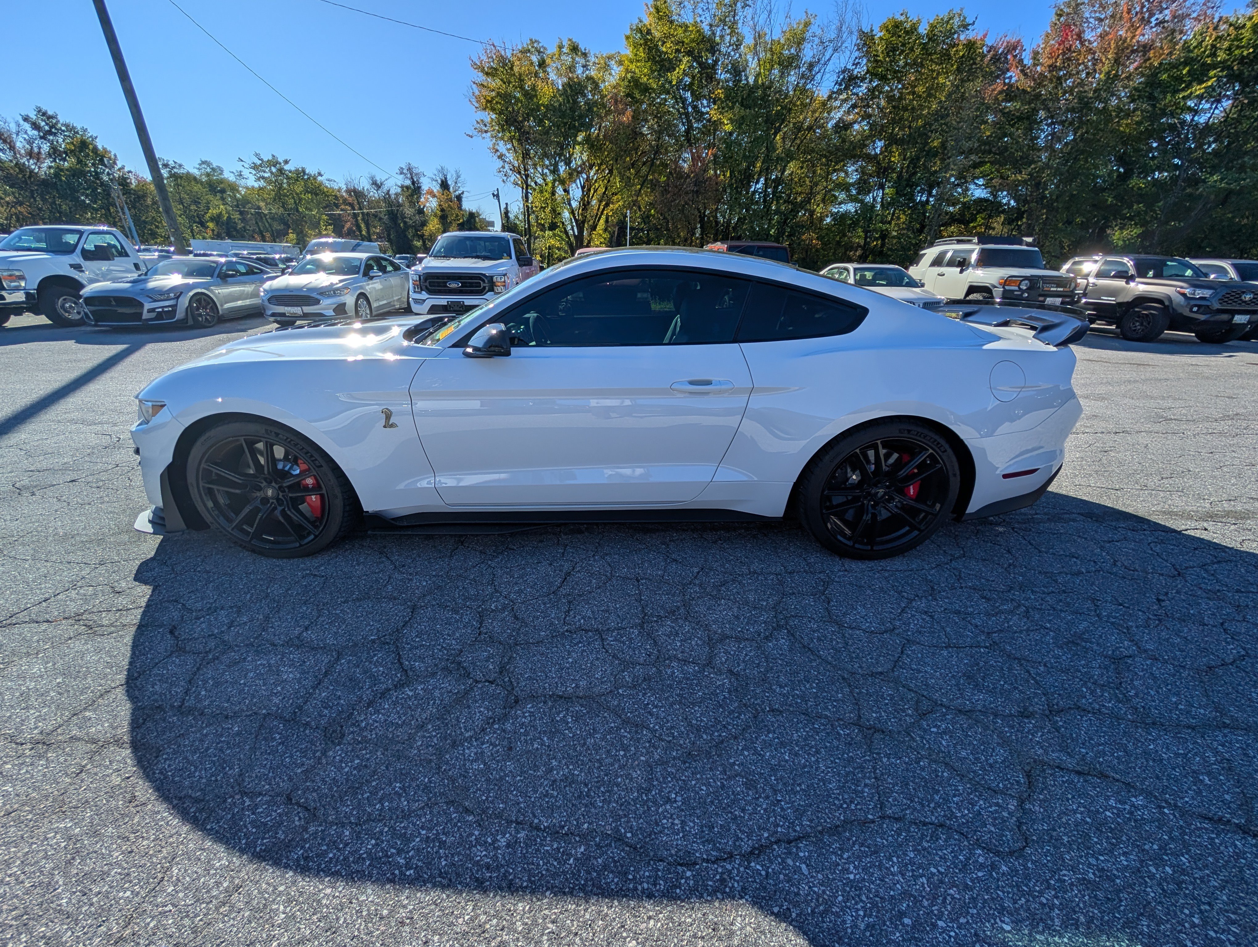 Certified 2020 Ford Mustang Shelby GT500 w/ Technology Package RWD image 3