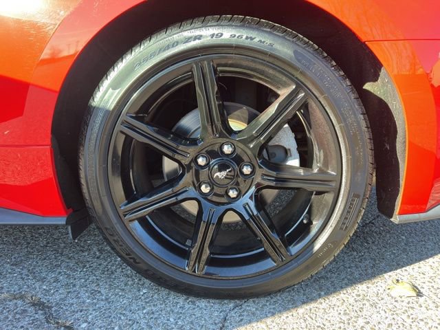 Certified 2019 Ford Mustang Premium w/ Equipment Group 201A image 25